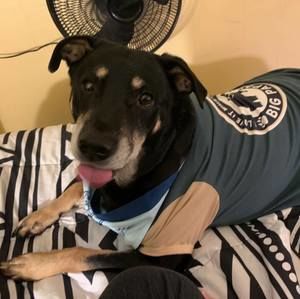 Meet your Posher, Hillary